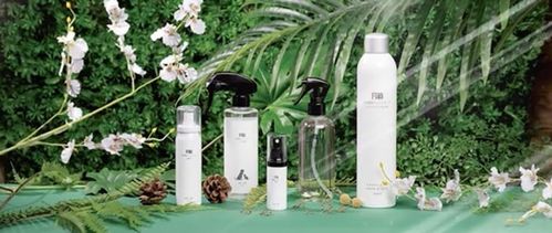 上海鲲盈环保 f118天然植物芬多精 中国国际进口博览会空气净化治理