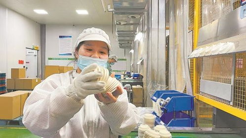服务再升级 永定助企 开门红