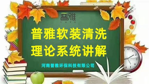 价值二三十万的普雅软装清洗理论系统讲解 20 保护涂层的特性