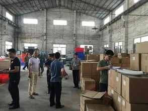 南海区人民政府门户网站